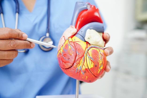 Organ Donation